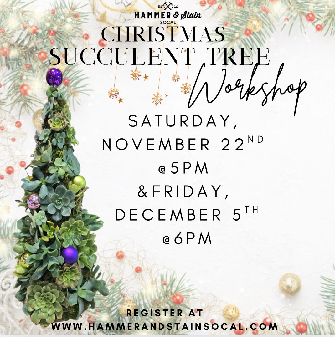 Christmas Tree Succulent Workshops