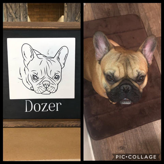 Personalized Paint your pet