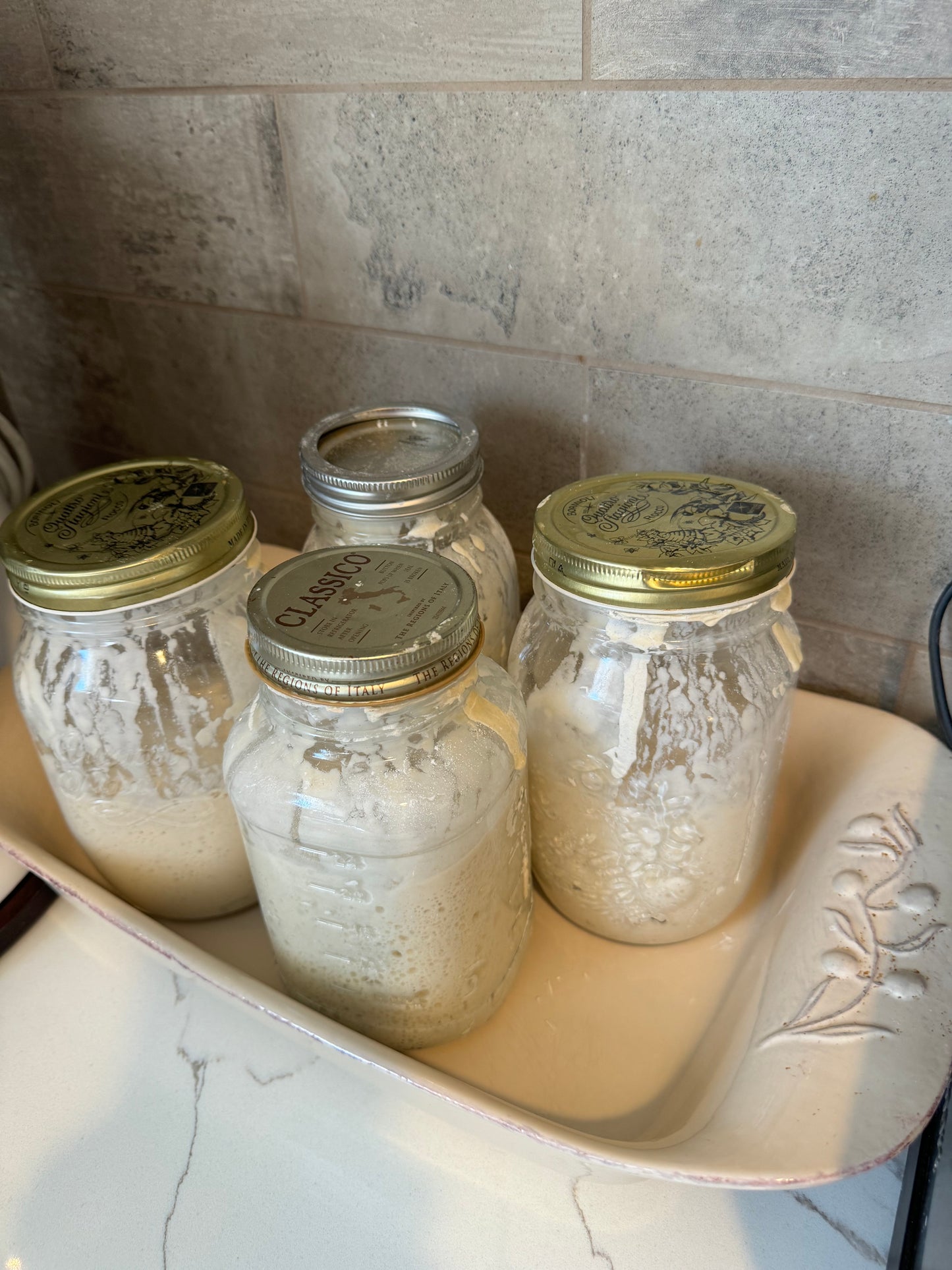 12/13/24-Sourdough Bread making collaboration