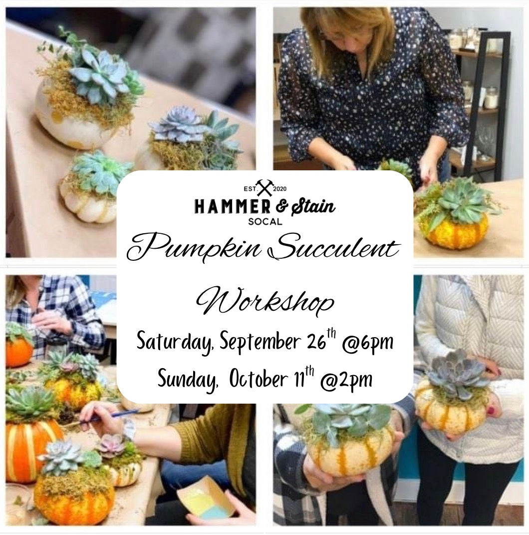 Pumpkin Succulent Workshops