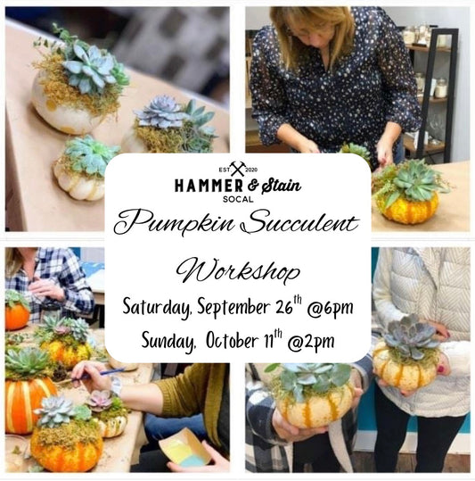 Pumpkin Succulent Workshops