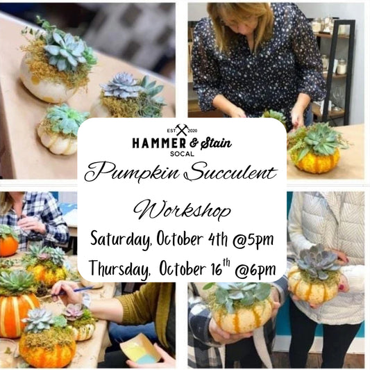 Pumpkin Succulent Workshops